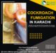 pest control services, fumigation, termite, cockroaches, bed bugs
