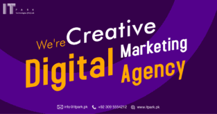 SOCIAL MEDIA DIGITAL MARKETING SERVICES