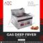 Electric Fryer 6ltr table model