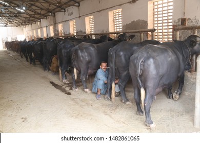 Farm house 500,1000 Sq yards land installments in Gadap town Karachi