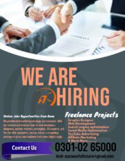 BFES provide simple data entry online work to earn extra income home