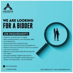 We are looking for a bidder/ Business Developer / Online Bidding Expert