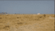 Low price Industrial Land for sale at Northern Bypass Karachi