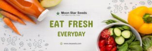 Moon Star Seeds Stores Pvt Ltd in Pakistan