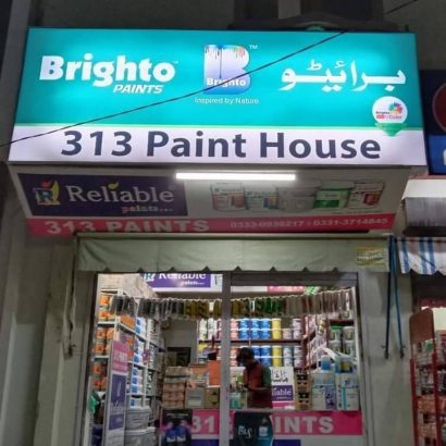 313 PAINTS AND SERVICES
