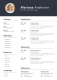 Professional CV Maker