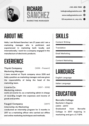 Professional CV Maker