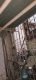 Apartment for sale Sunny Heights A-72 opposite lasania restaurant