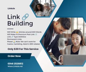 SEO Off Page Service (SEO Link Building Service In Cheap Price)