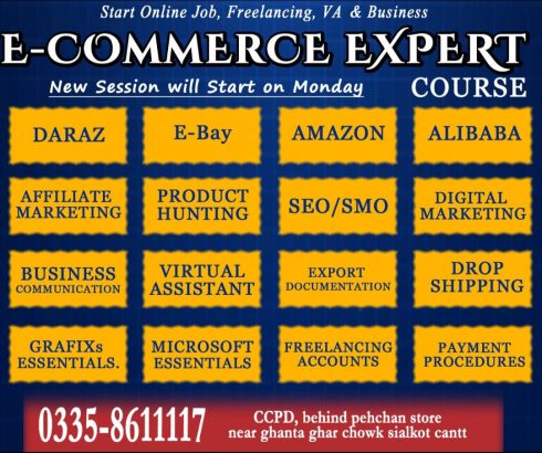 Ecommerce Expert course in CCPD sialkot, best courses in sialkot
