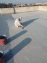 Roof Waterproofing Leakage Roof Expert Ran Proofi Rcc Haet Proofing DHA