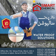 best Roof Waterproofing Leakage Seepage Treatment