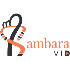 SambraVid – video editing and 2d animation services.