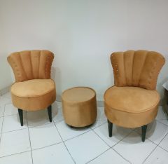 Sofa Chairs/Coffee Chairs and table