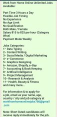Work from Home Data Entry Jobs