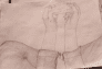 Unique realistic handmade sketches