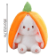 25cm Reversible pink Strawberry Floppy Ear Bunny stuffed toy