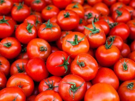 Veggie Delight hub