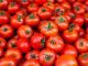 Veggie Delight hub