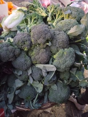 Veggie Delight hub