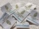 Why you choose Custom Woven Labels for your clothing collect