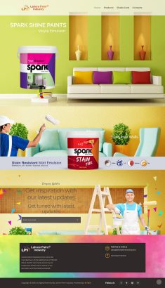 Professional Web Development & Digital Marketing Services