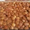 Zahidi Dates