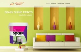 Professional Web Development & Digital Marketing Services