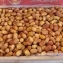 Zahidi Dates