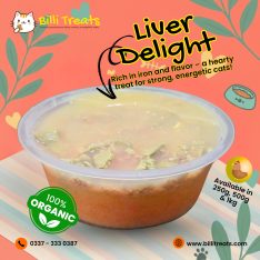 Homemade Cat Food in Karachi – Billi Treats