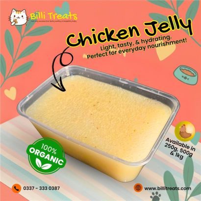 Homemade Cat Food in Karachi – Billi Treats