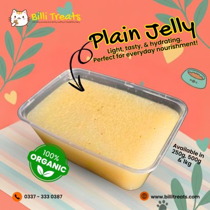 Homemade Cat Food in Karachi – Billi Treats